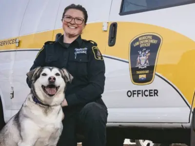 media-photo-MES-animal-services.jpg