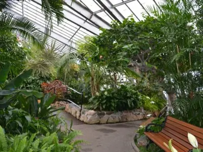 conservatory-inside-resized.JPG