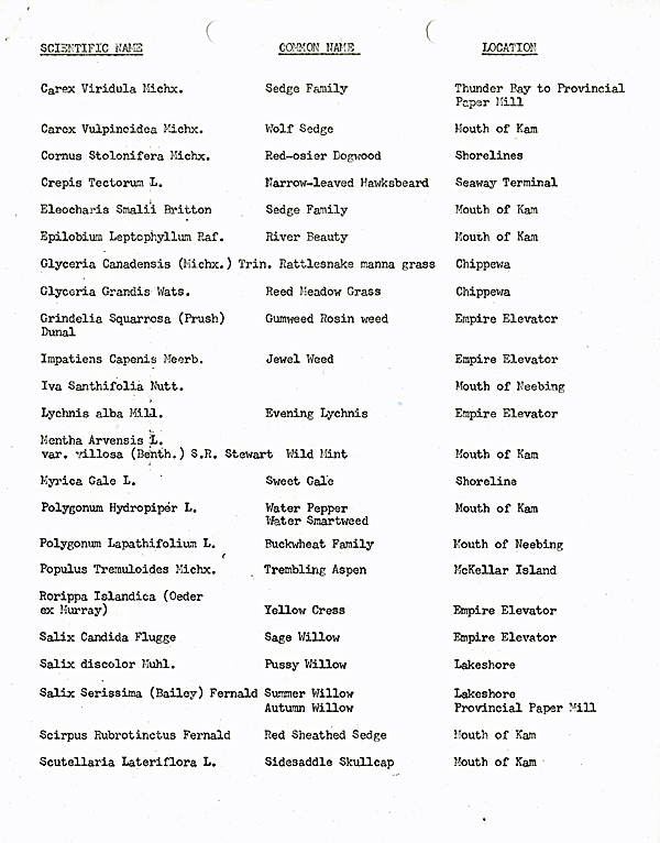 A typed list of flora and fauna on white paper with black ink