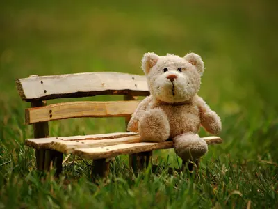 Events-TeddyBearsPicnic.jpg