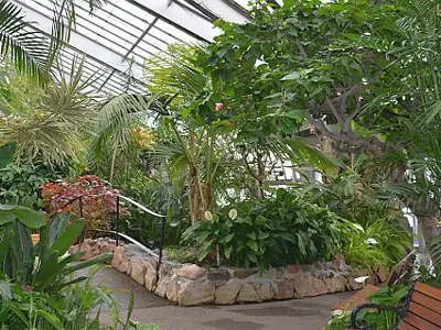 conservatory-news-size.jpg