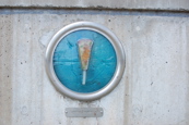 A plaque of gomphonema diatom