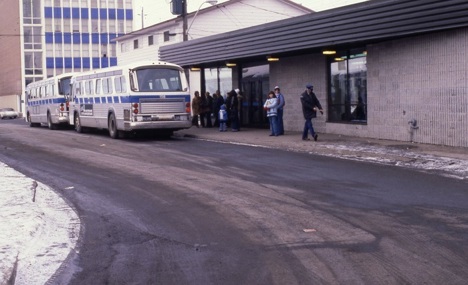 the Brodie St. terminal. Two buses are stopped at it.