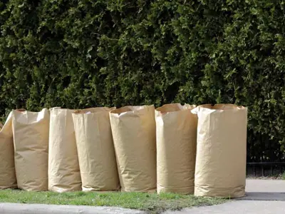 kraft-bags.jpg