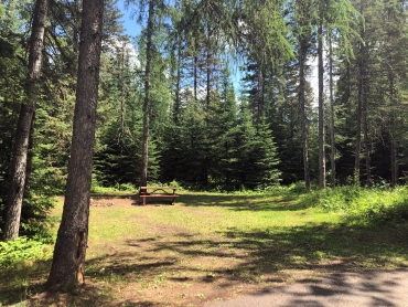 Campsite at Trowbridge Falls Campground