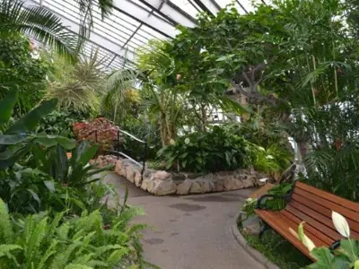 DSC_0048-Conservatory-resize.jpg
