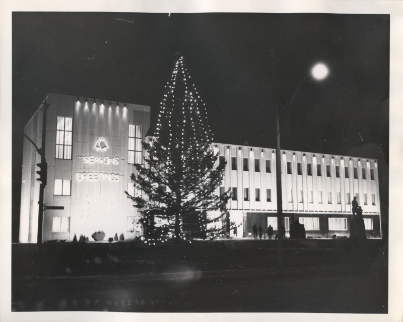 A large christmas tree decorated with lights out front of town hall