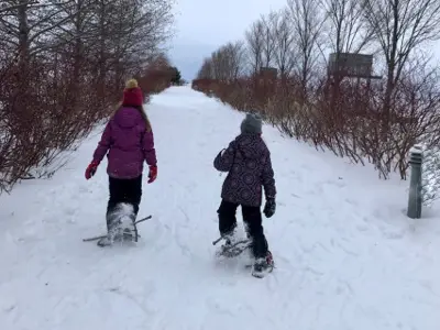 SnowDay--news.jpg