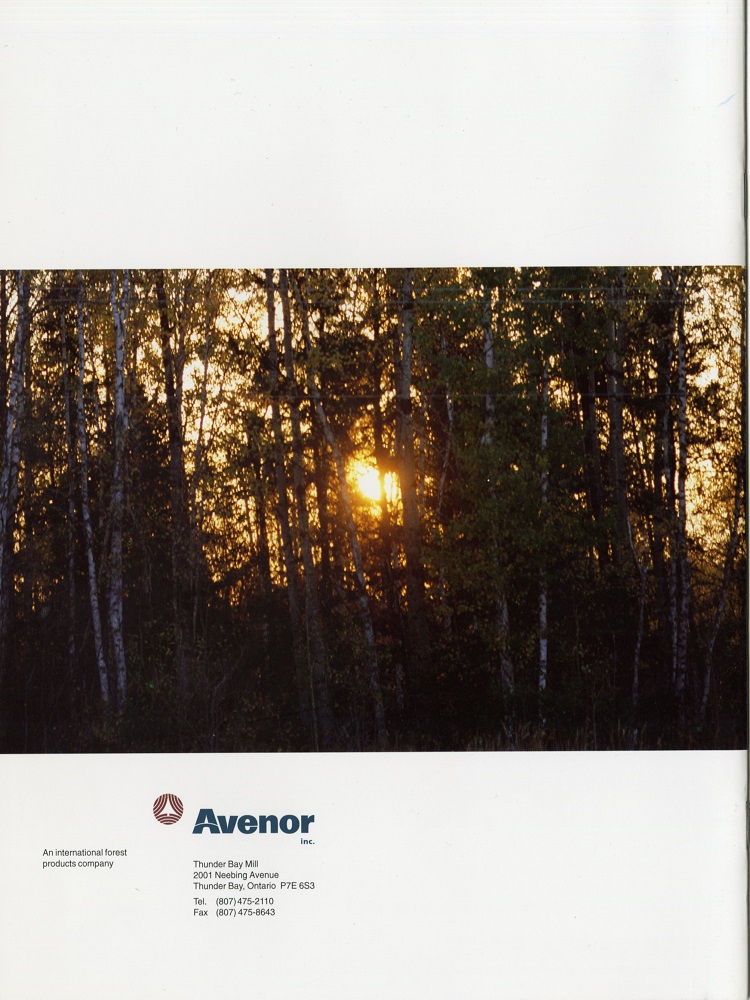Avenor Booklet showing forest