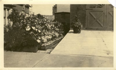 A picture of a garden beside a paved driveway and infront of a door