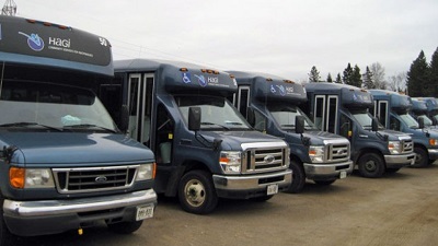 A line of seven Hagi-Transit buses sitting parked