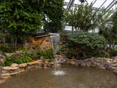 Conservatory-News-Image.png