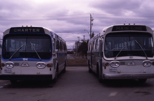 two buses parked beside each other