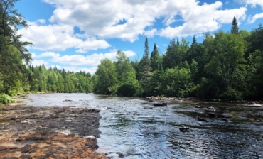 The Current River at Trowbridge Falls Campground
