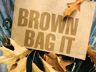 BrownBagRecycling.jpg