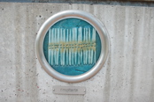 A plaque of fragilaria diatom