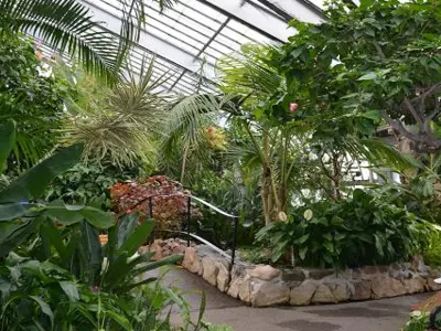 conservatory-photo-media-release.jpg