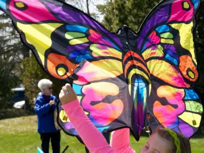 KiteFestival.jpg